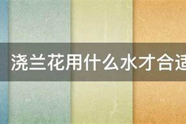 如何施用大豆叶面肥