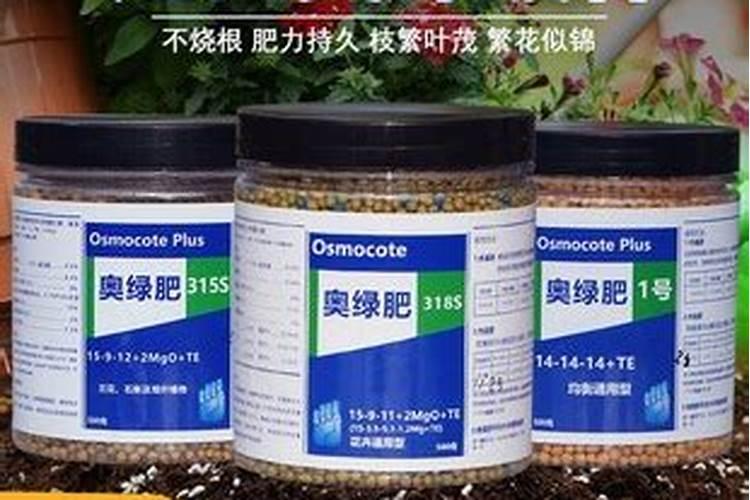 奥绿贝花肥怎么样
