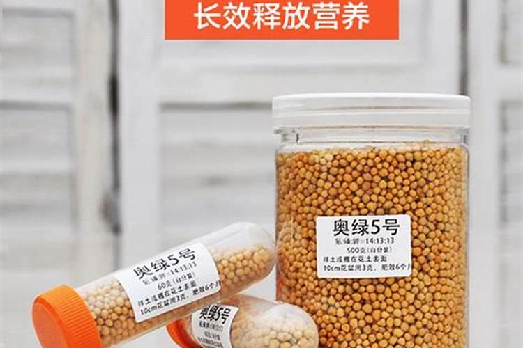多肉植物怎么养 新手养多肉必看养护技巧？