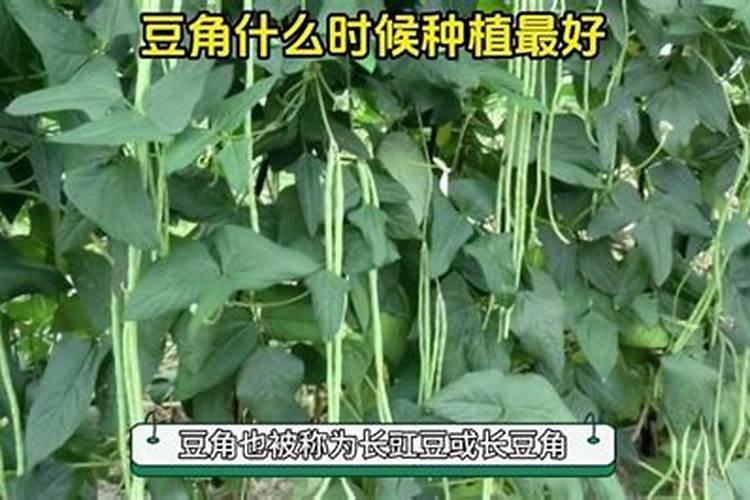 10%氯化钾注射液规格为什么是10毫升？