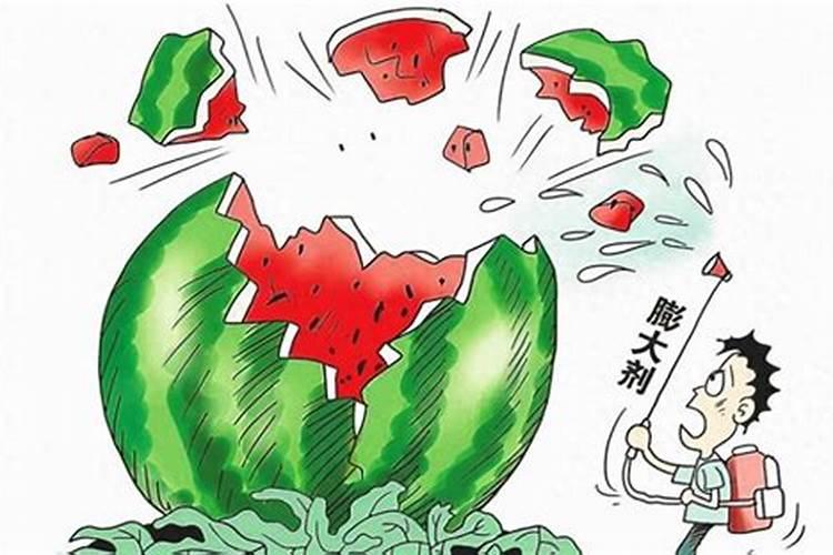 种辣椒施什么肥料好