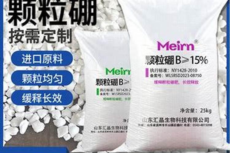 草莓苗什么时候种植？草莓苗种植技术方法