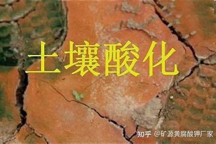 黄腐酸钾的用量和用法？