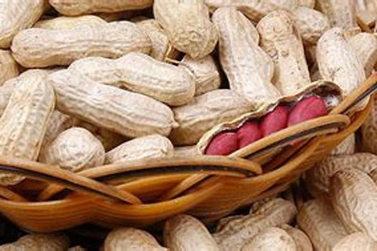 秋季给果树施底肥的时候,用复合肥比复混肥好在哪？