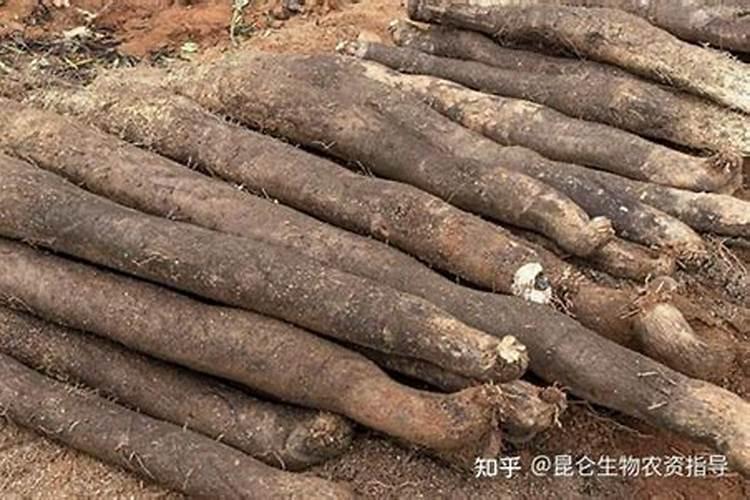 波尔多液能与哪些农药混配