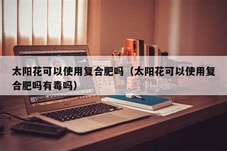 夏天月季裸根大苗如何种 夏天月季裸根大苗怎么种