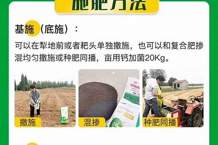 果实膨大期,钙肥亩施用量