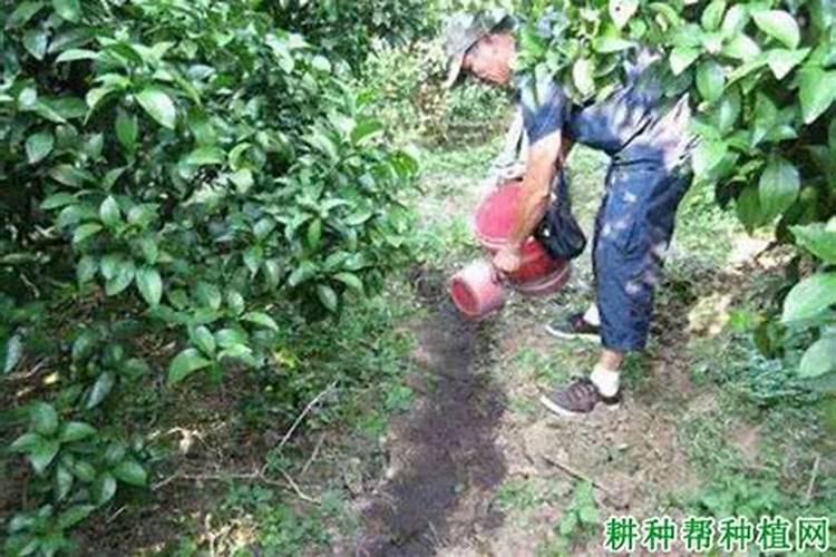 怎么辨别氮肥,磷肥,钾肥,