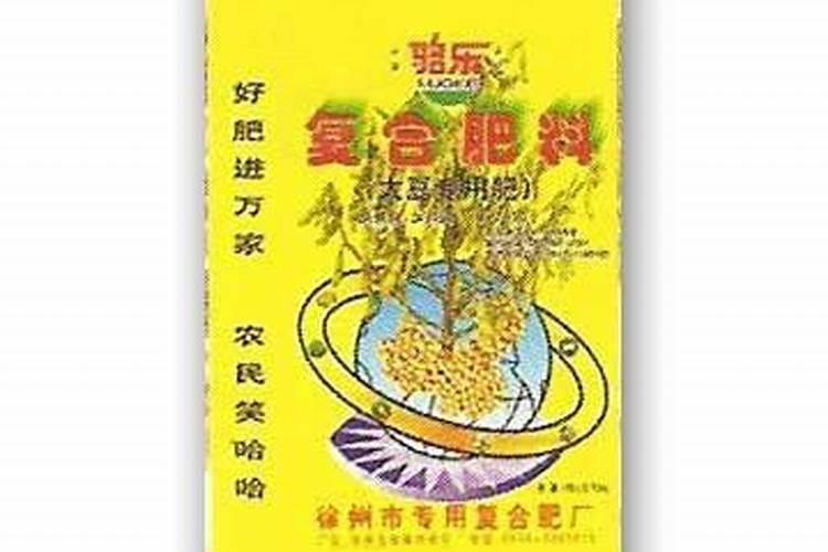 柿子树多少钱一棵？柿子树盆栽种植方法有哪些？