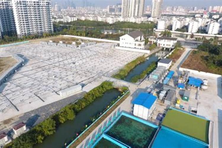 徐州现在葡萄可以施肥吗？