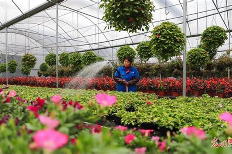 直播卖水溶肥利润空间怎么样啊