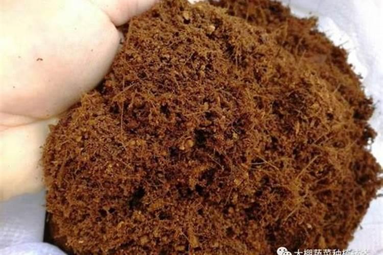 复合肥怎么使用正确