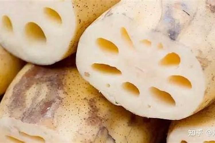 包心菜施什么肥最好