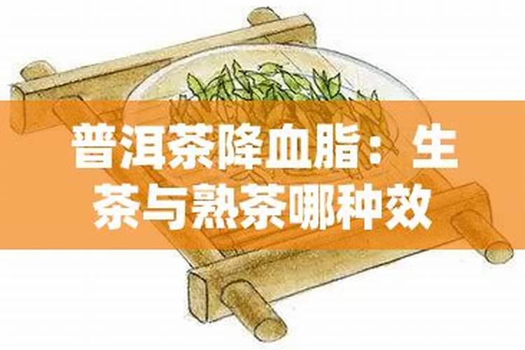 白芷种植技术及亩收益