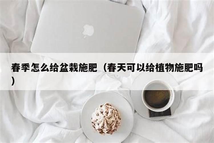春耕如何合理使用磷酸二铵