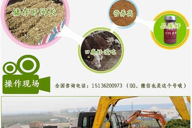 车厘子苗氮、磷、钾,过量使用!后果这么可怕!(下)