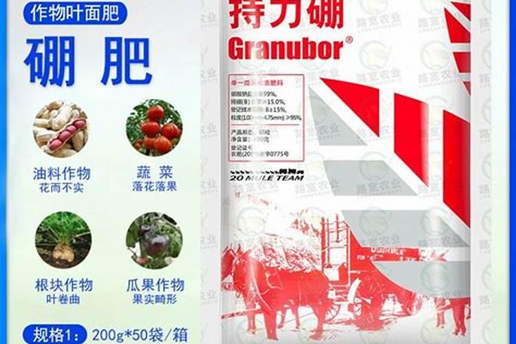 种植果树如何用科学合理的方法来去使用硼肥