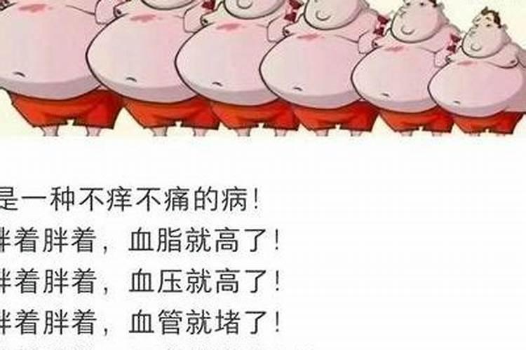 肥气简介