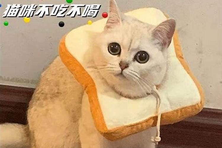 农家肥发酵多久才能用