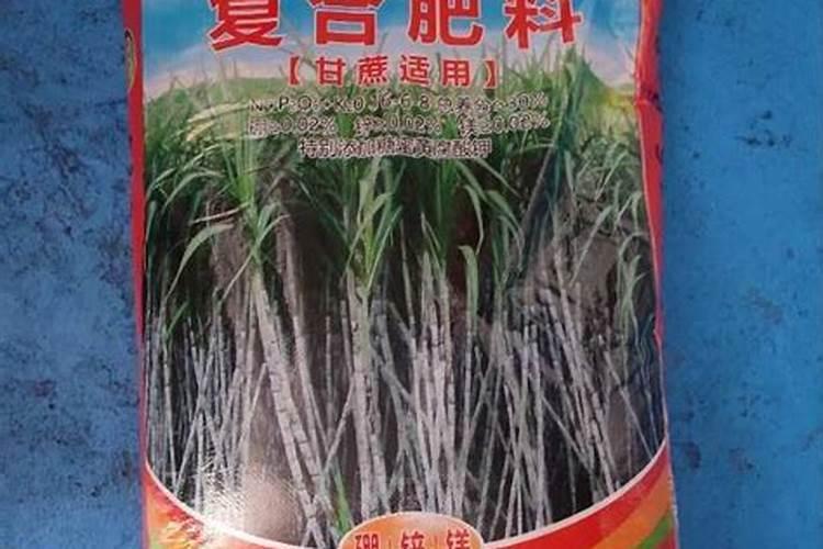 麦片不适合什么人吃 不适合吃麦片有哪些人