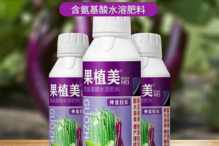 苦瓜喜肥吗？应该如何施肥效果更好呢？