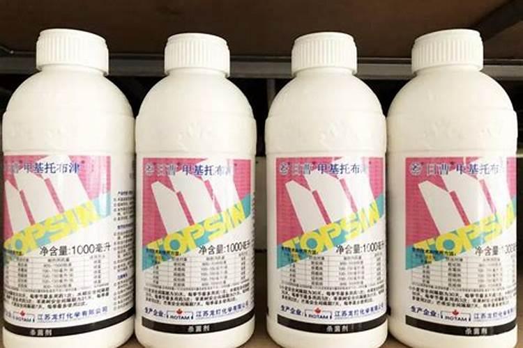 大蒜追肥用什么肥料好