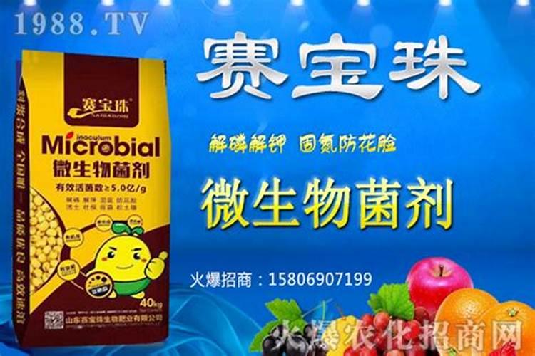 追底肥,是先追平衡肥还是菌肥？