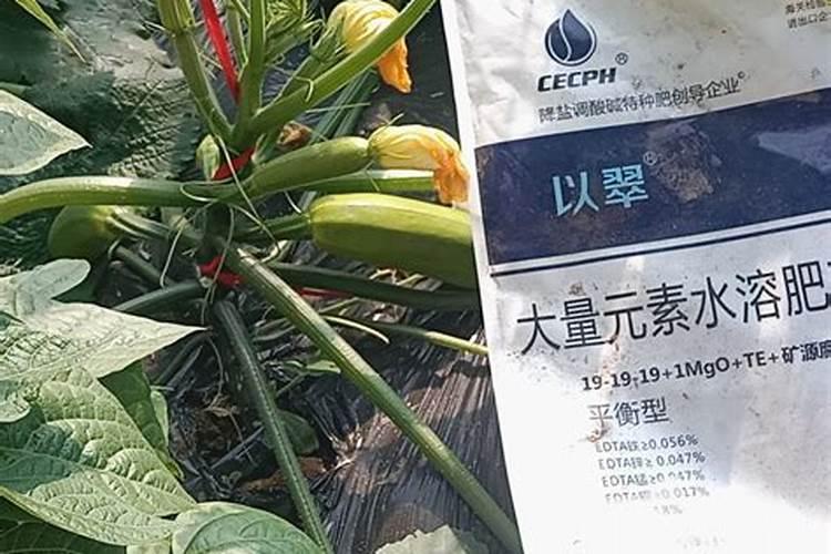 家里养花施什么肥最好 磷肥的作用