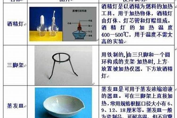 立春后连续阴天藤本月季怎么养