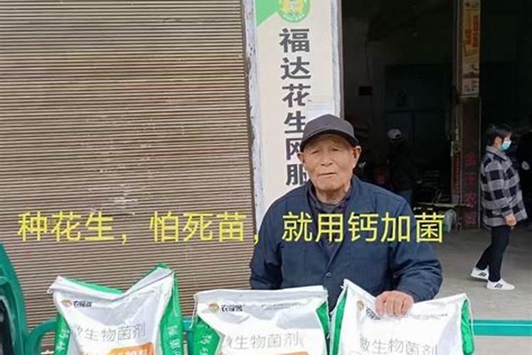 花生用什么肥最好