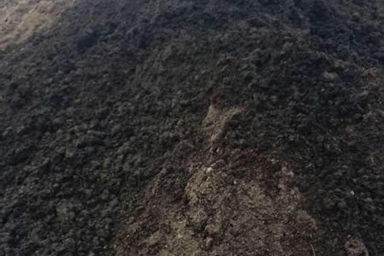 种植辣椒用什么底肥最好