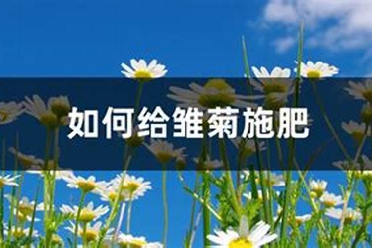 农用硅肥有哪些