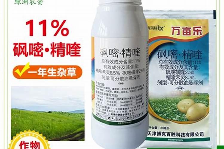 西葫芦内叶上卷什么病害？