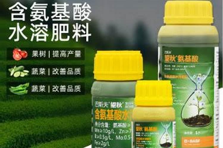 小麦是什么根系的植物