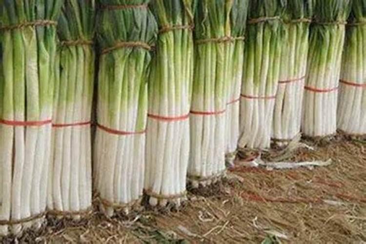 百香果施什么肥料最好