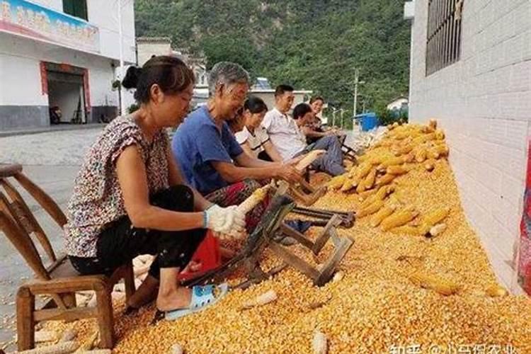 补锌的食物有哪些