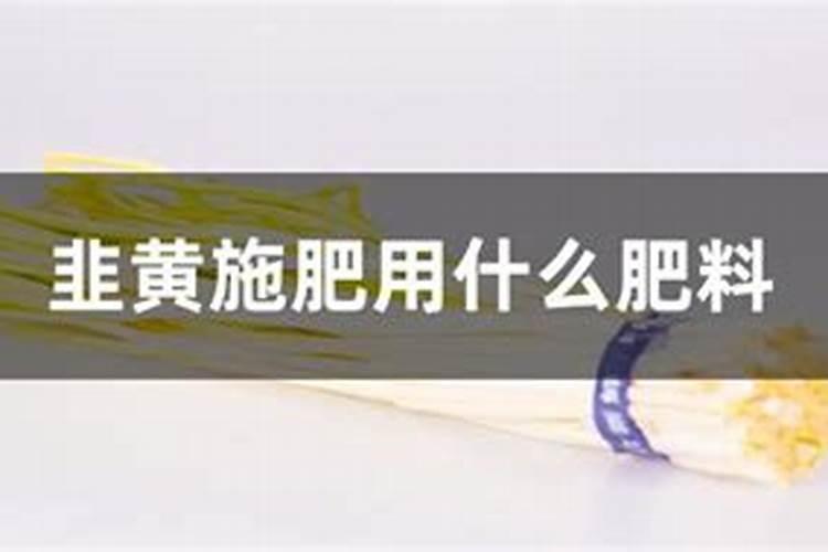 高产韭黄需要掌握的种植技巧有哪些 韭黄怎么种