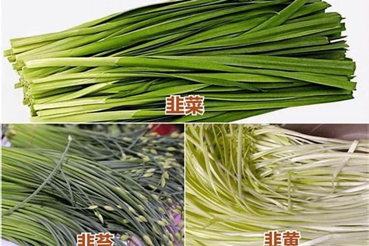 刚栽完的韭菜用黄腐酸钾兑水灌根可以吗？