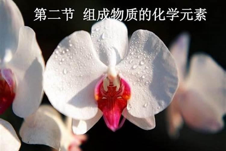 磷肥对植物的作用与功效