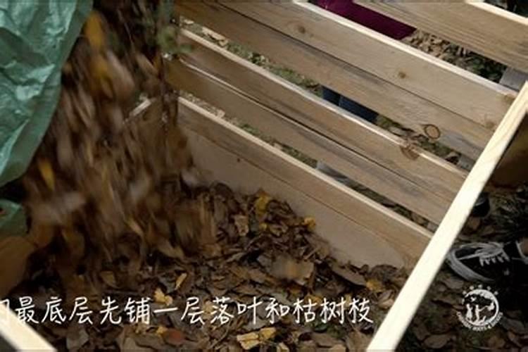 树叶怎么发酵成肥料