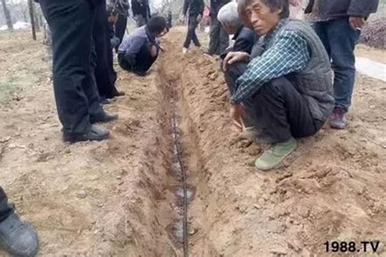 钾肥有哪些种类 钾肥的功效和使用方法