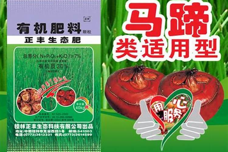 荸荠的栽培技术和病虫防治