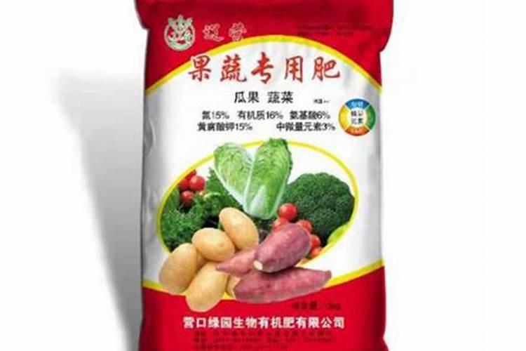 长寿花夏天怎么浇水