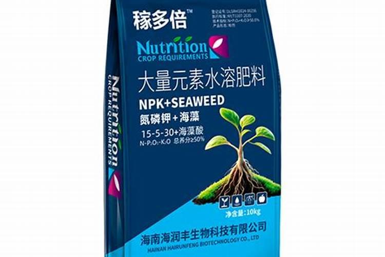 新玉缀多肉夏天休眠吗 休眠期间好不好养