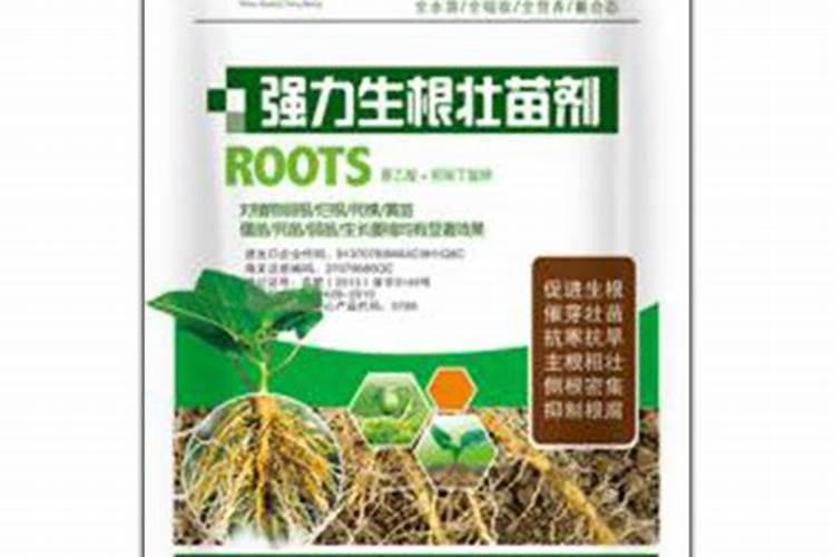 葡萄生根肥淘宝哪个品牌好