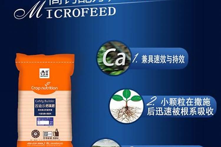 石灰石的主要成分是什么呢？