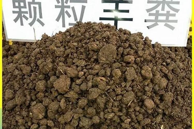 迈多乐水溶肥怎么样