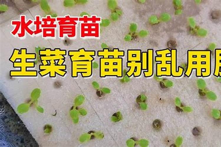 小麦一亩地能用多少化肥