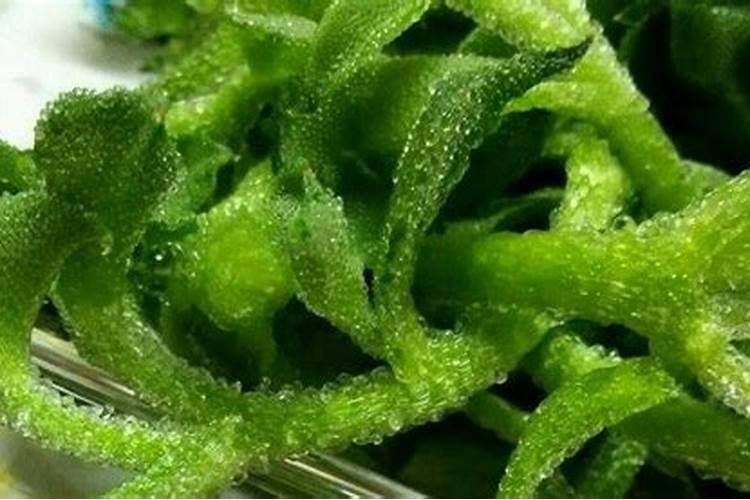 冰菜种植技术方法