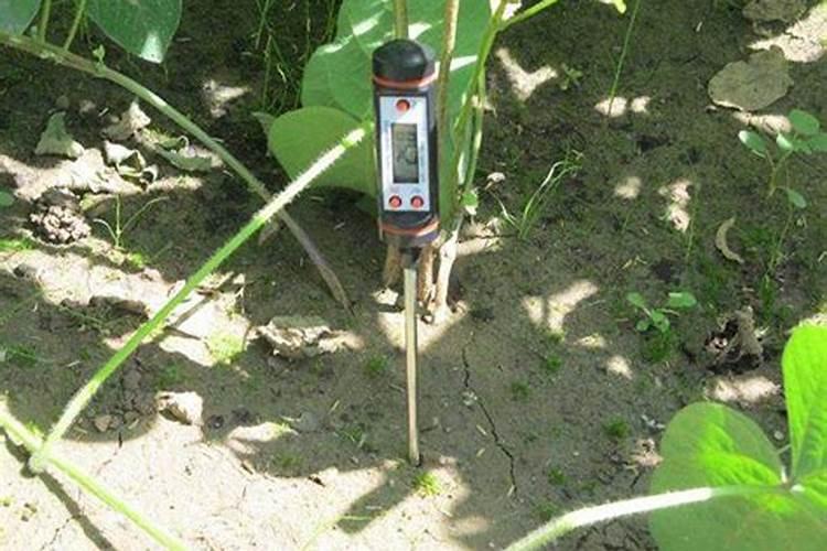 冬季蔬菜大棚地温低,根系不发达,想找款肥料能提升地温还能膨果着色的...